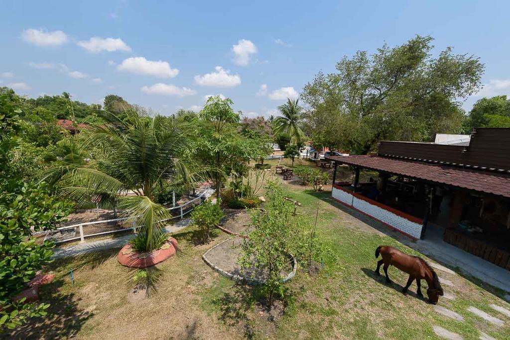 Cowboy Farm Resort Pattaya Ban Huai Yai Bagian luar foto